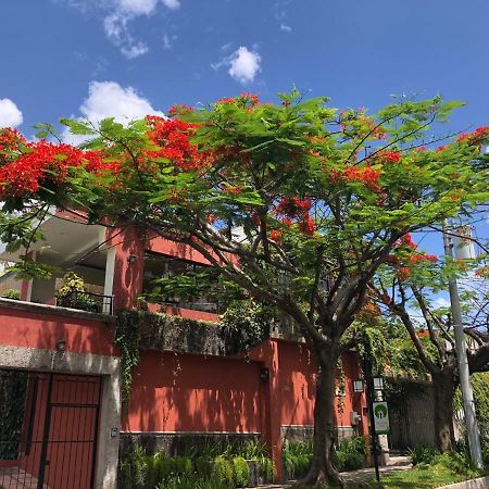 Hotel Arbol De Fuego San Salvador Exteriör bild