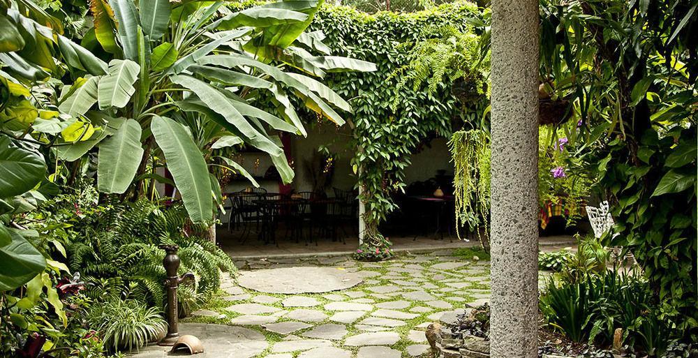 Hotel Arbol De Fuego San Salvador Exteriör bild
