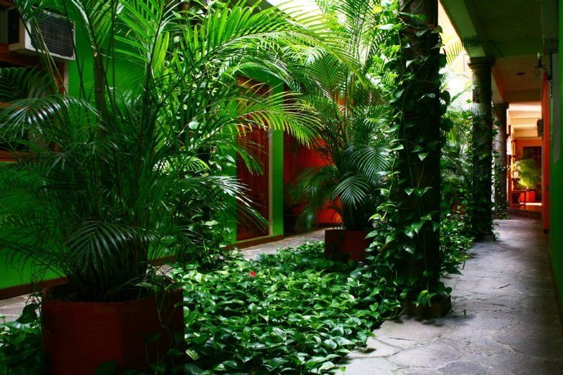 Hotel Arbol De Fuego San Salvador Exteriör bild