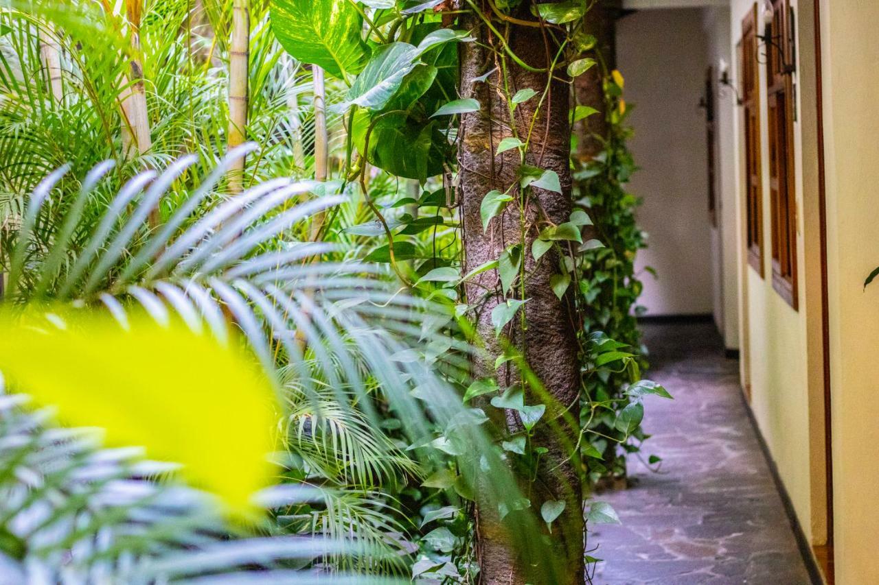 Hotel Arbol De Fuego San Salvador Exteriör bild