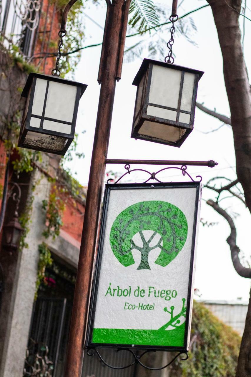 Hotel Arbol De Fuego San Salvador Exteriör bild