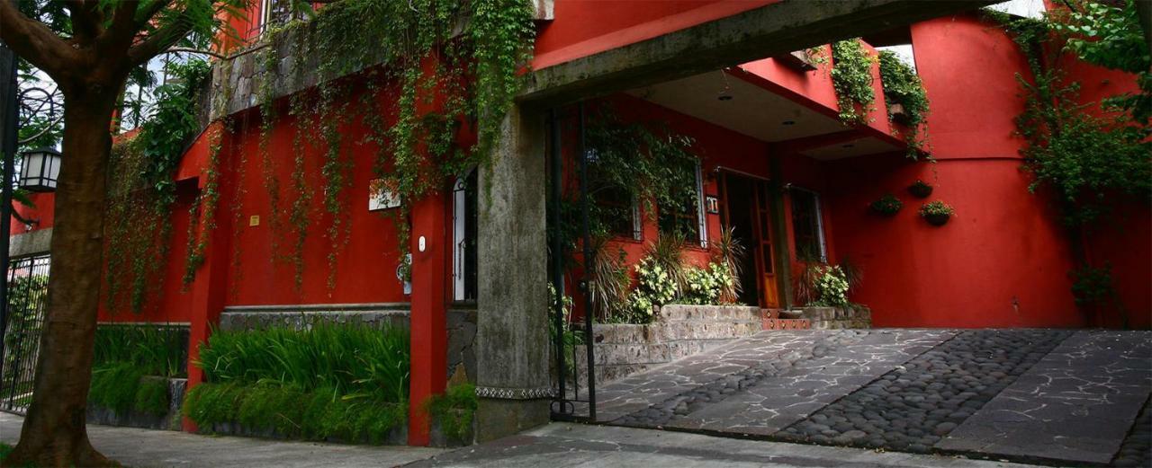 Hotel Arbol De Fuego San Salvador Exteriör bild